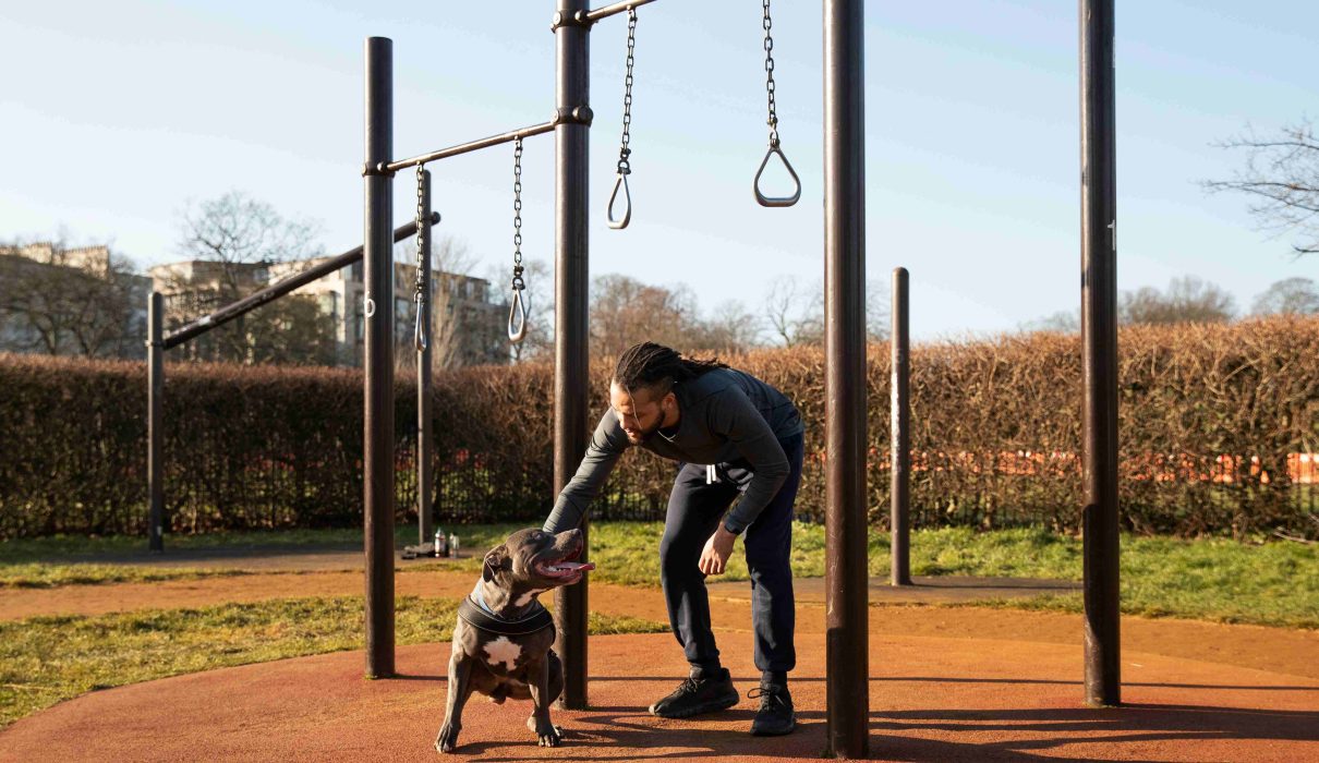 Dog training Dubai for Rescue and Adopted Dogs