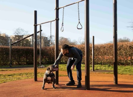 Dog training Dubai for Rescue and Adopted Dogs
