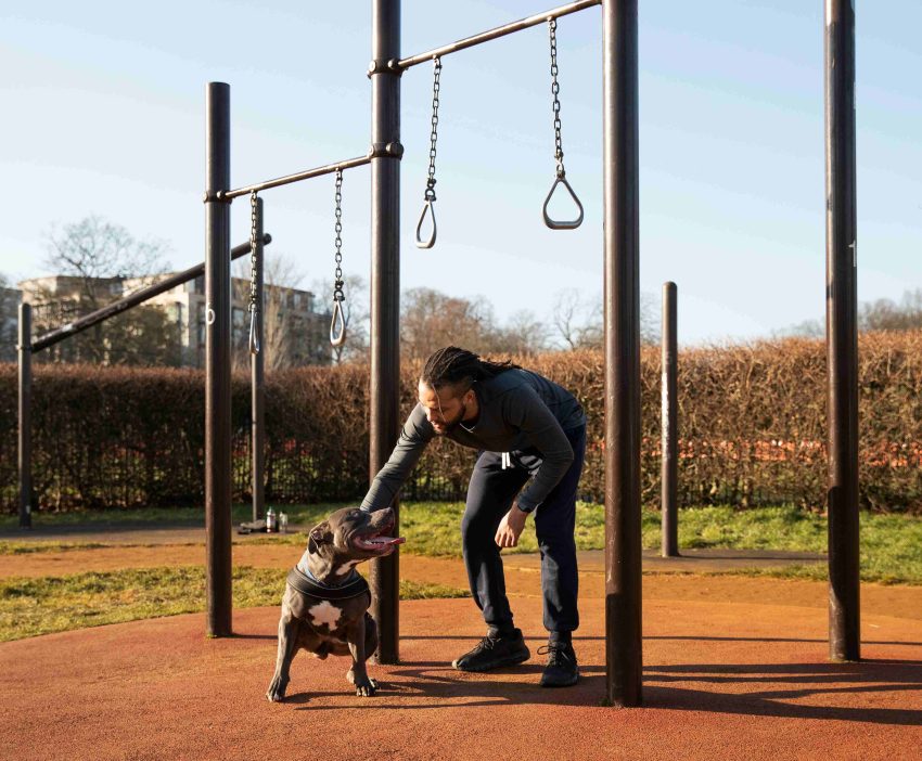 Dog training Dubai for Rescue and Adopted Dogs
