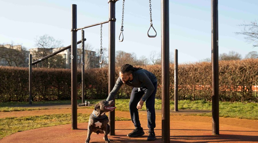 Dog training Dubai for Rescue and Adopted Dogs
